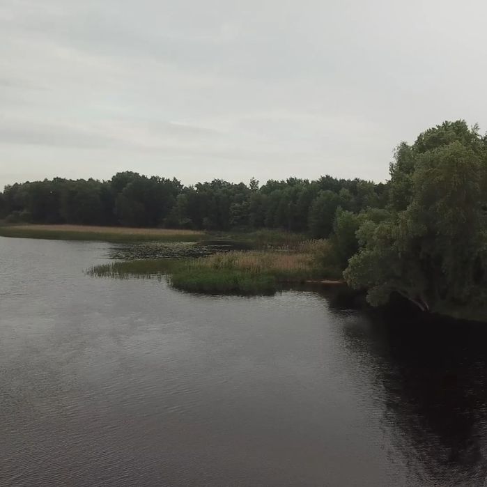 Ділянка 1.7 ГА з виходом в Київське море, Толокунь, ліс, фарватер