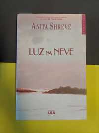 Anita Shreve - Luz na neve