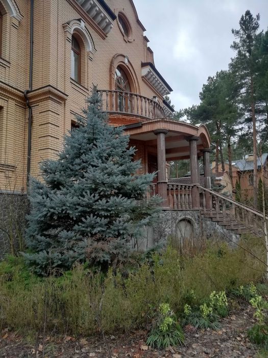 будинок в Козині, басейн, 40 соток землі