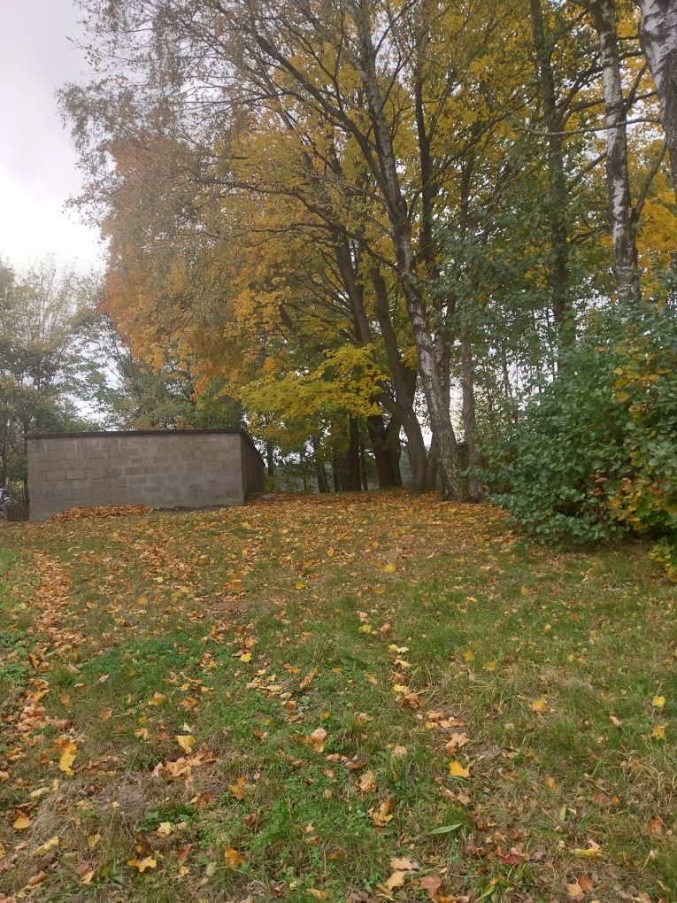 Sprzedam gospodarstwo rolne z zabudowaniami w Donimierzu