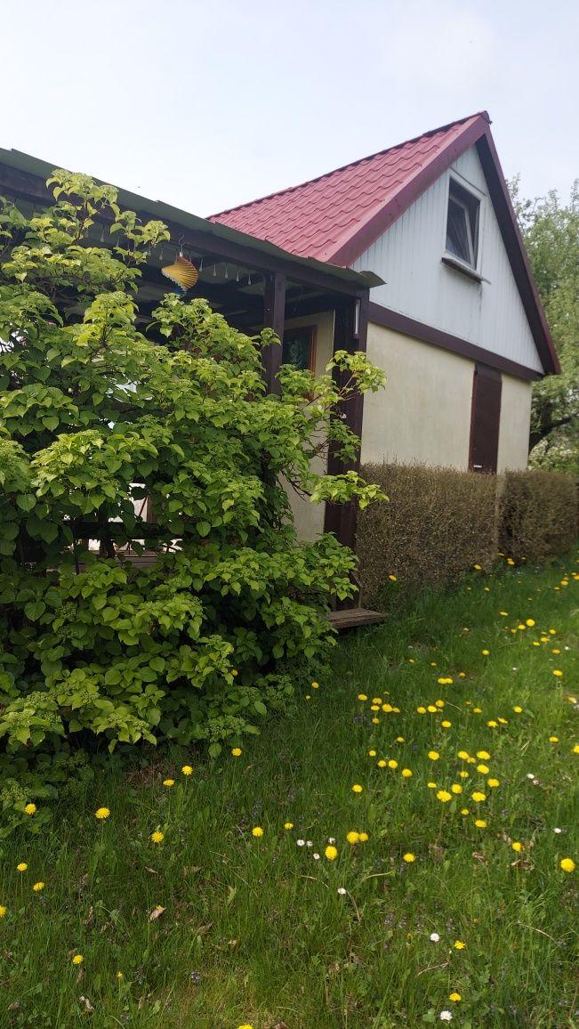 Prawo do ROD ul. Ostrowska