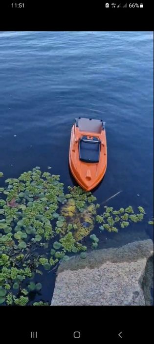 Карповий кораблик.