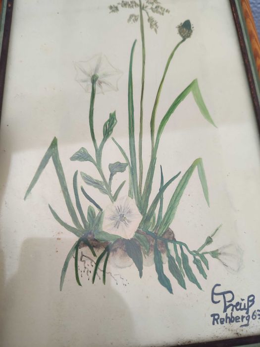 Obraz - Akwarela - Botanika - Botanica - Design - ręcznie malowana - G