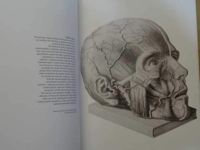 Atlas da Arte Anatómica de Luis Raúl Lépori - 4 Volumes
