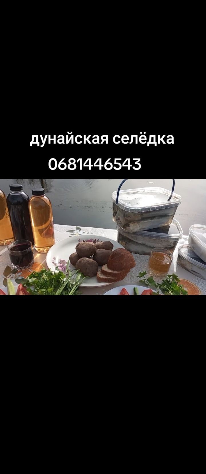 Вилково!Дунайская малосольная, копчёная селёдка, сом, толстолоб!