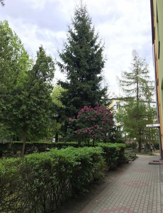 Sprzedam wyremontowane mieszkanie w spokojnej okolicy w centrum miasta