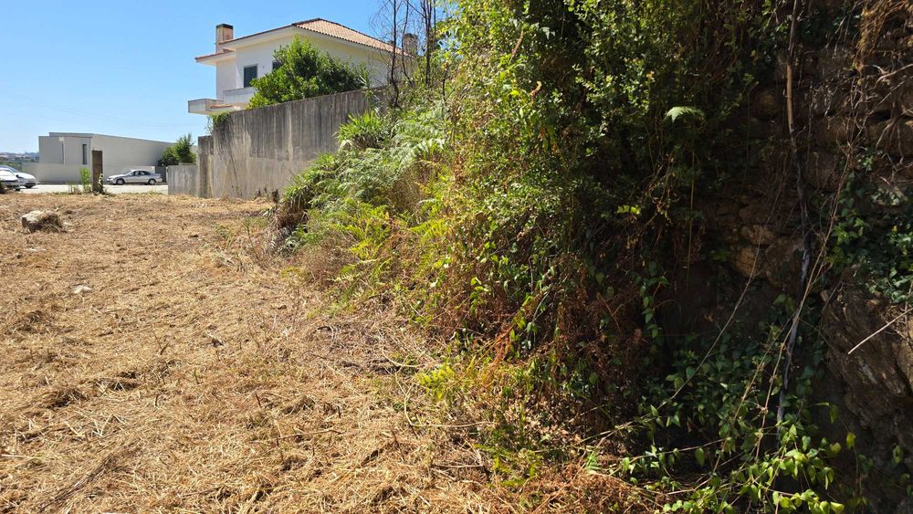 Lote de terreno 2500+ m2, margens do rio Douro, perto do Porto