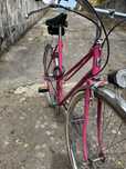 Rower damka piekna