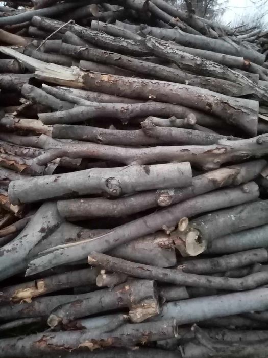 Drzewo bukowe sezonowane