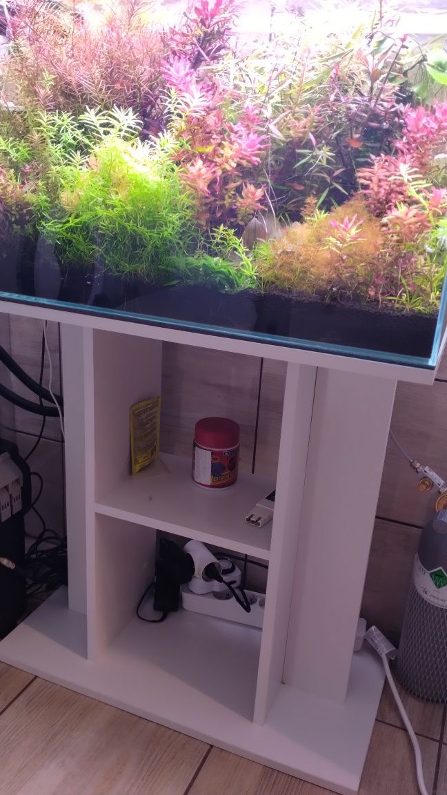 Akwarium 70 l opti white cały zestaw