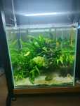 Akwarium VIV optiwhite 40x40x40