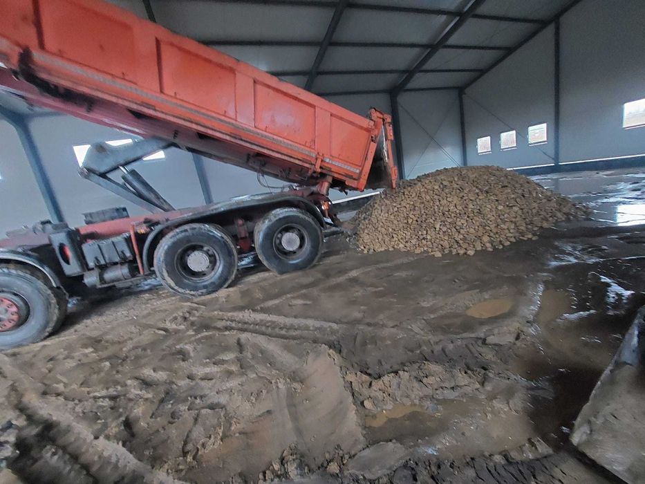 Wyburzenia, rozbiórki, wywóz gruzu, roboty ziemne