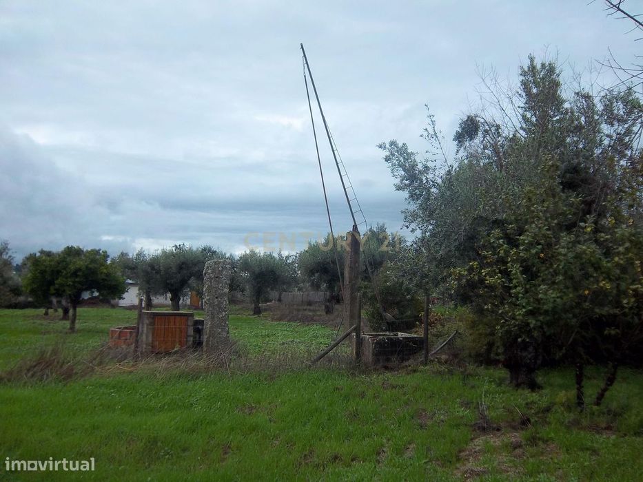 Terreno rústico na aldeia da Lousa, Castelo Branco