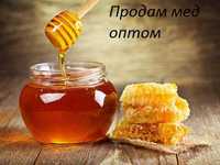 Продам мед оптом 10 т, 65 грн/кг