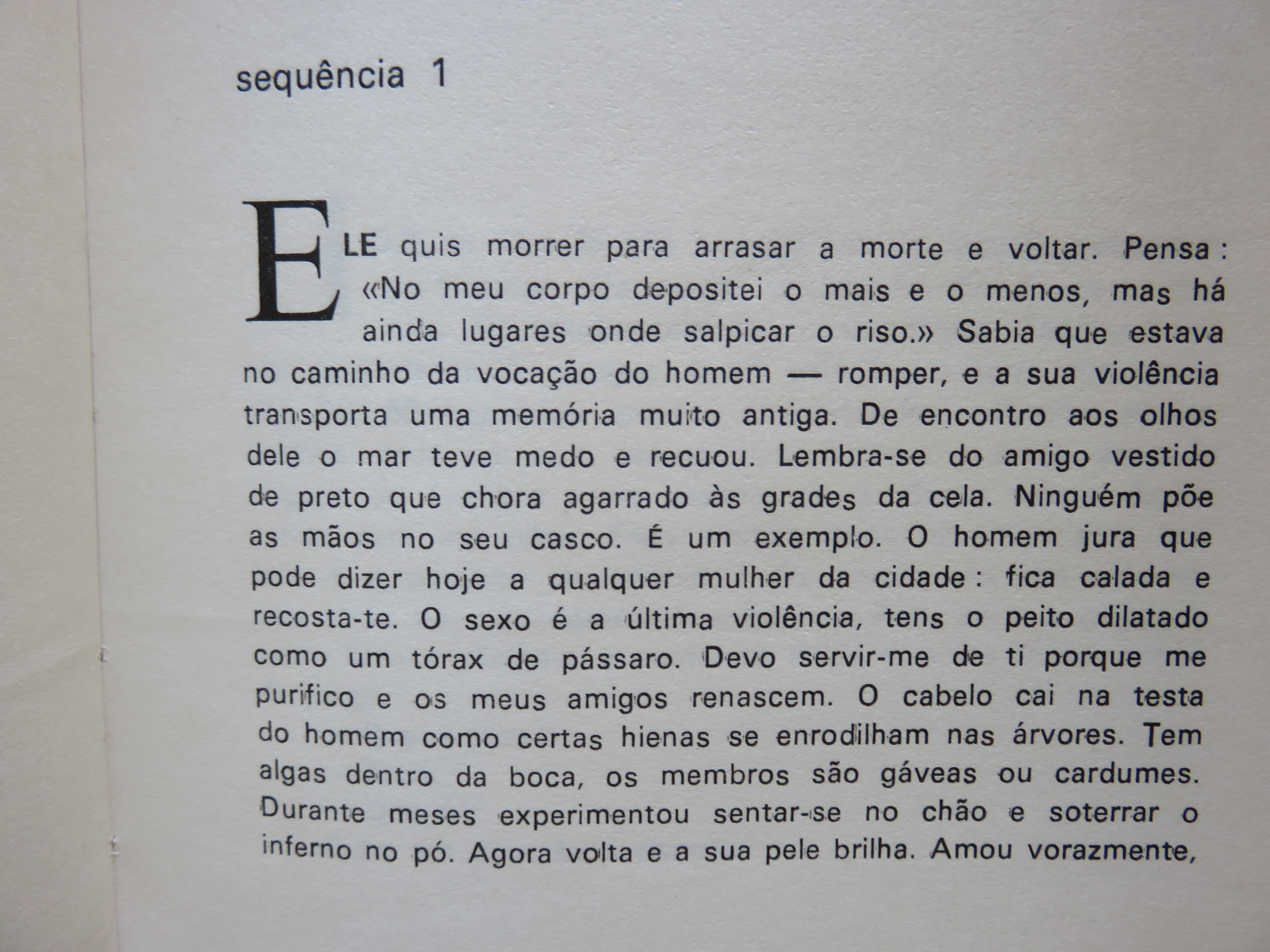 José Amaro Dionísio - Bardo (1.ª edição, 1981) (envio grátis)