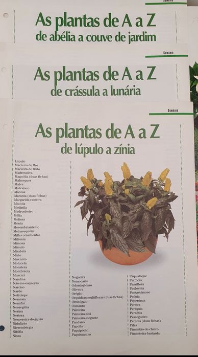 Livros sobre plantas e flores