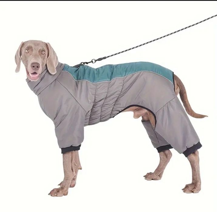 Зимовий комбінезон для собаки