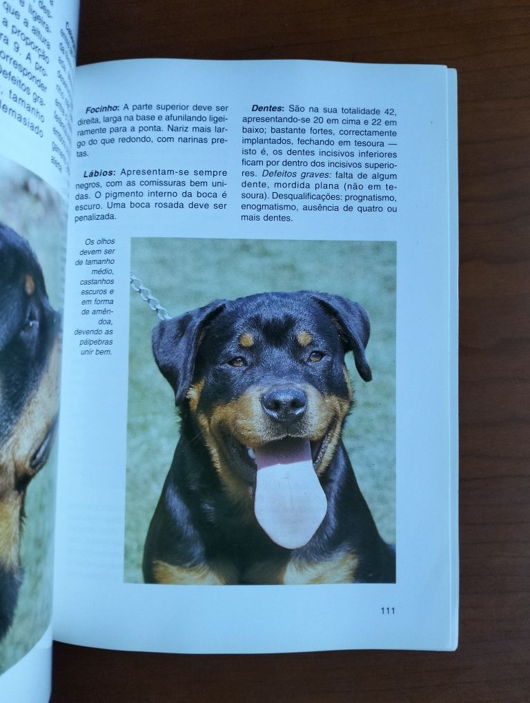 Livro Rottweiler - Coleção Habitat