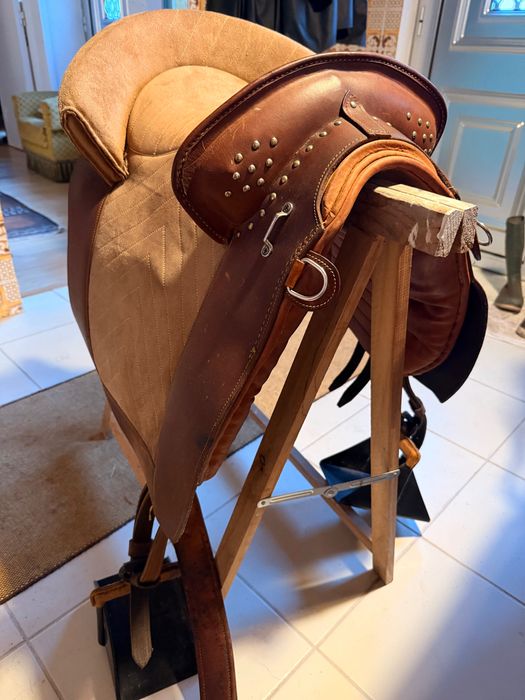 Sela portuguesa bom estado