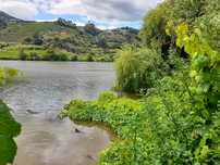 Terreno na margem do Douro com 120 cerejeiras, 1ªs cerejas da europa