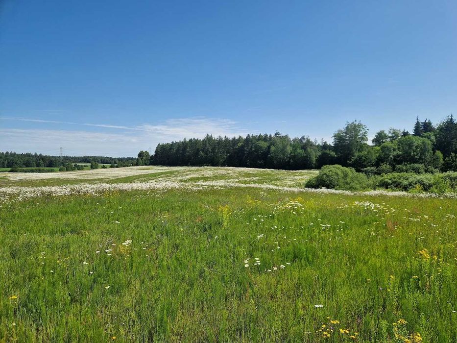 Działka budowlana Kozia Góra