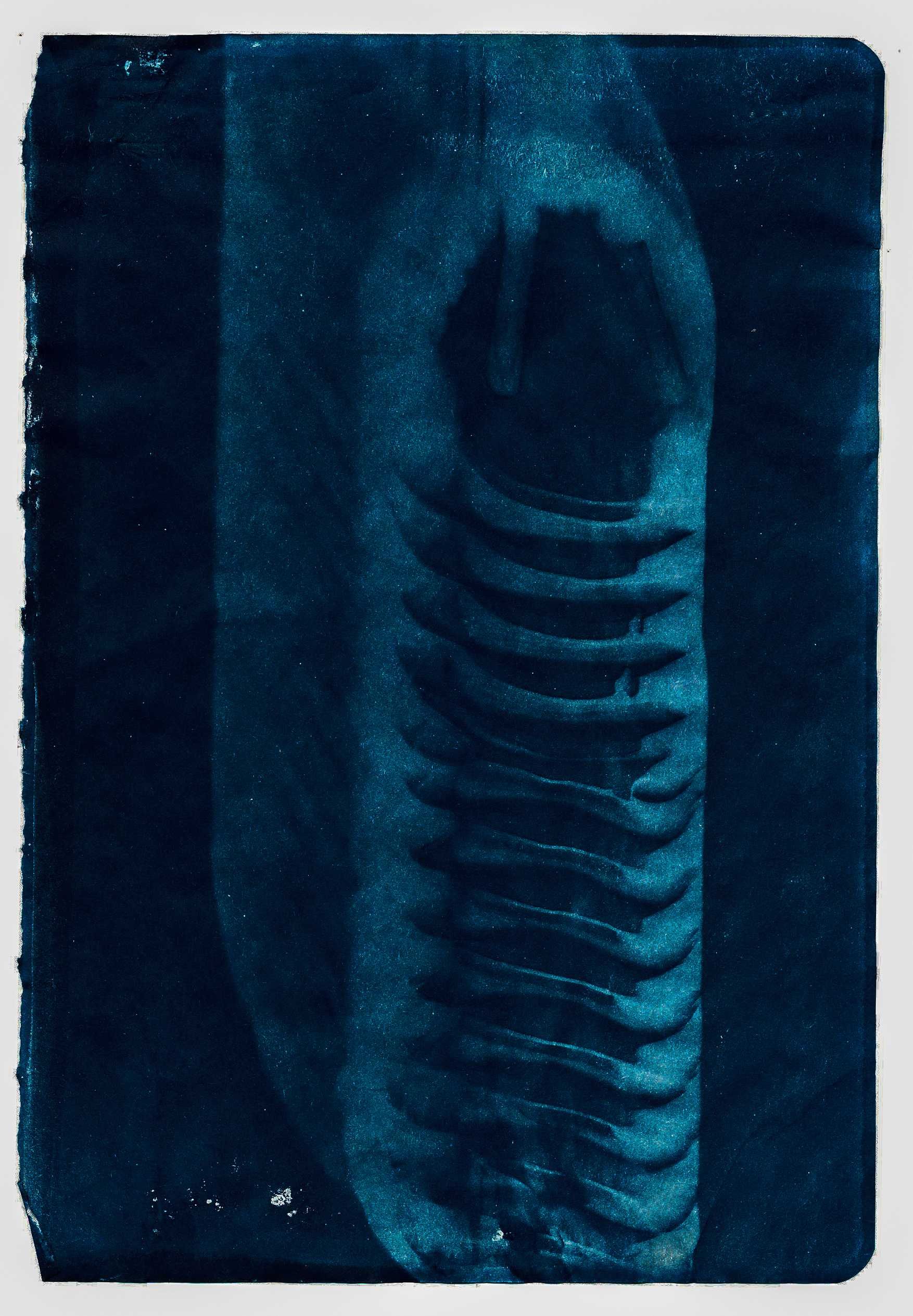 Cianotipia - Garrafa de água de plástico, A5