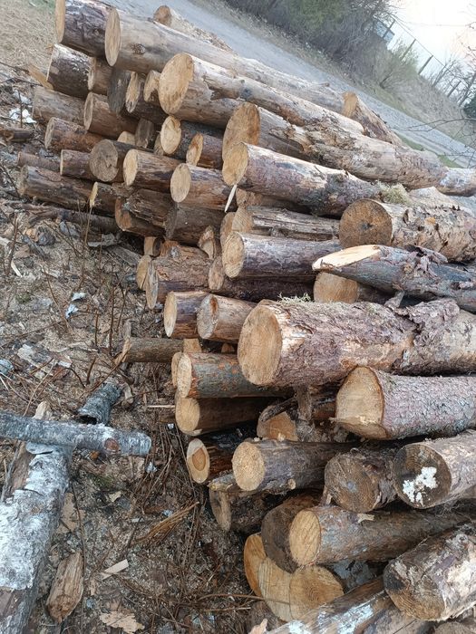 Drewno 100 zł mp opal ,drewno ,dąb,brzoza,sosna