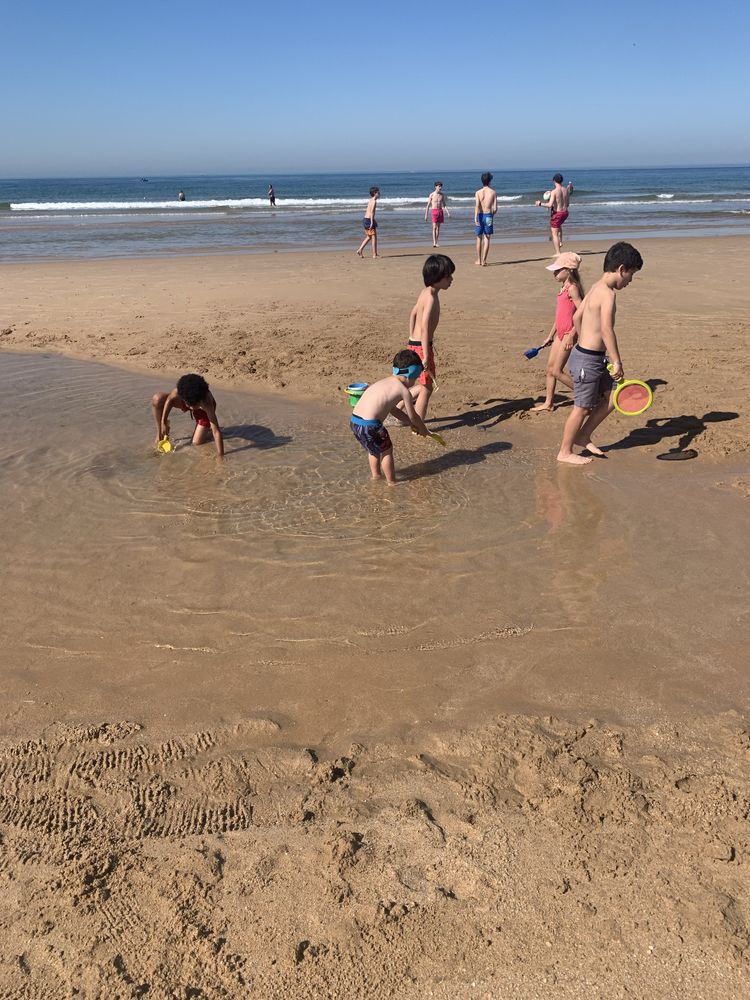Colónia de Férias de Verão 2025
