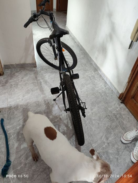 Vendo bicicleta Btwin rockrider 340.
Tamanho do quadro - M
Tamanho da