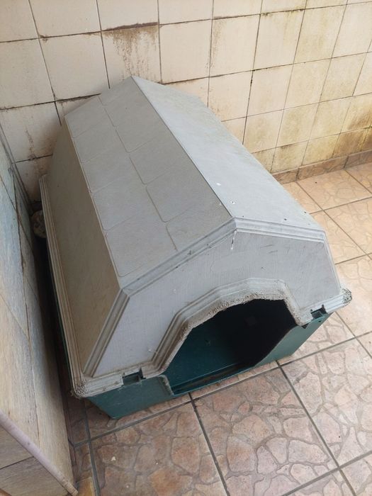 Casota para cães