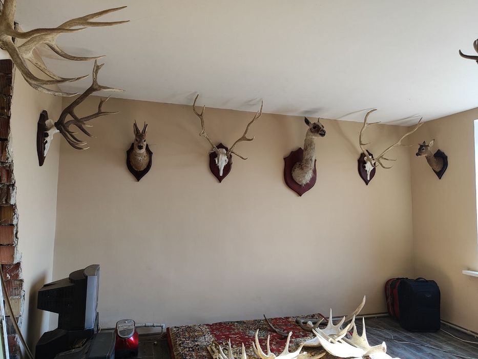 Продам дом недалеко от города, большой участок