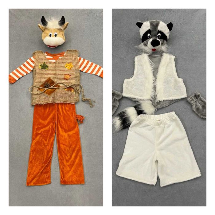 Карнавальні костюми звірят, лев, Їжачок, єнот, оренда, прокат -300грн