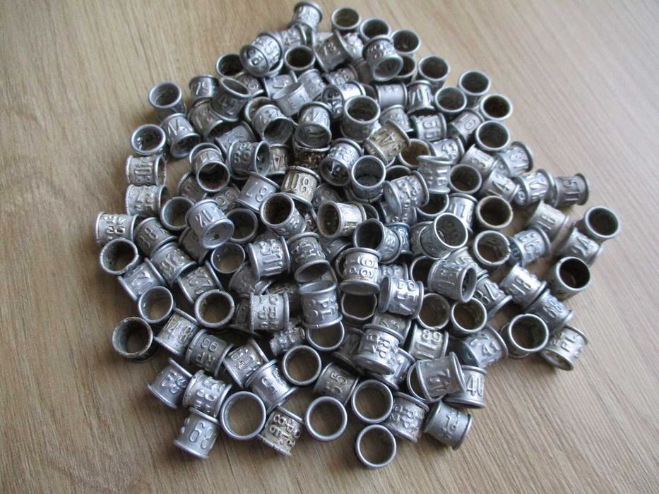 obrączki dla gołębi