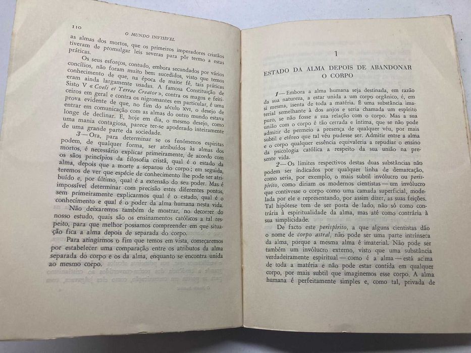 Livro - O Mundo Invisível (ctt editorial grátis)