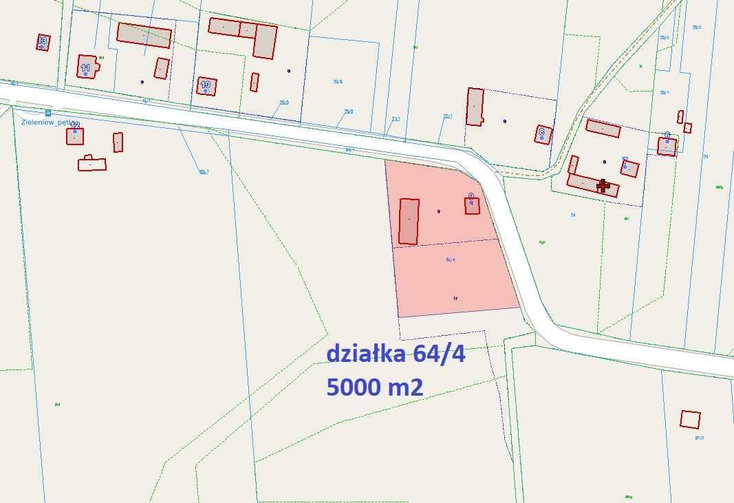 sprzedam działkę powierzchnia 5 000 m2 Zieleniew k. Kutno