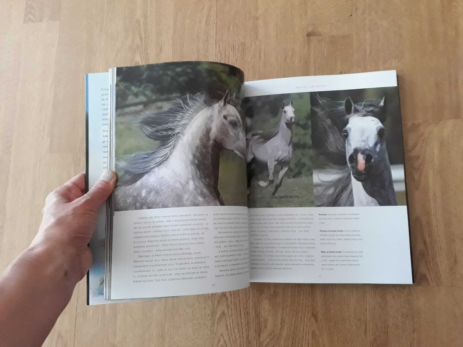Piękno konia książka-album NOWA