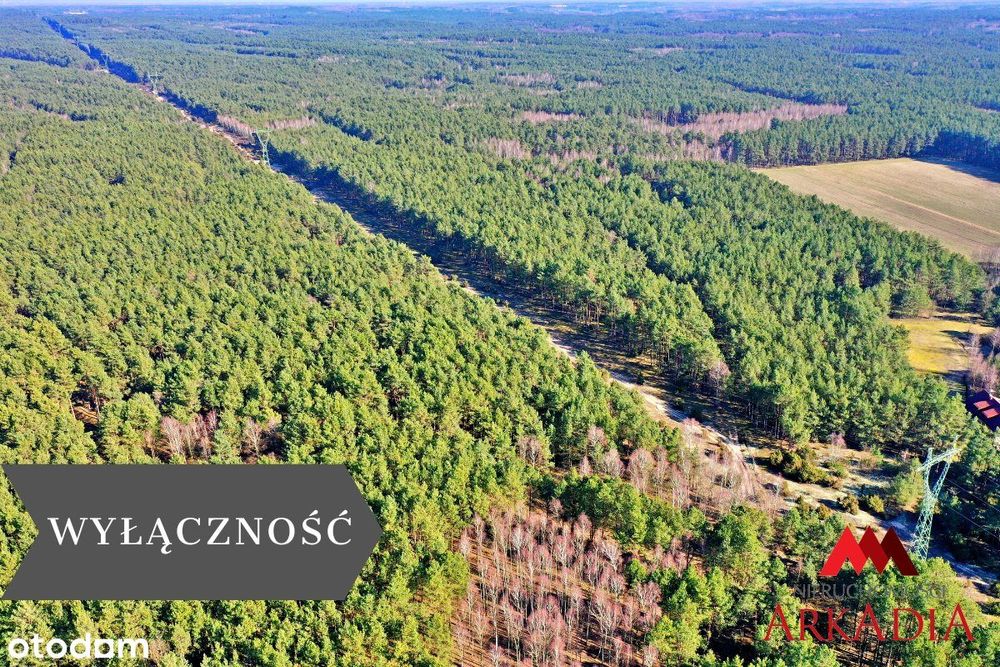 Działka las iglasty 40-50 letni, Bobrownickie Pol