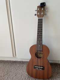 Piękne ukulele firmy Flycat