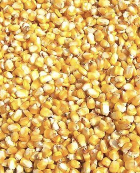 Продам кукурудзу з доставкою.