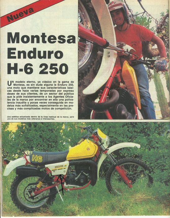 Montesa 250 enduro H6