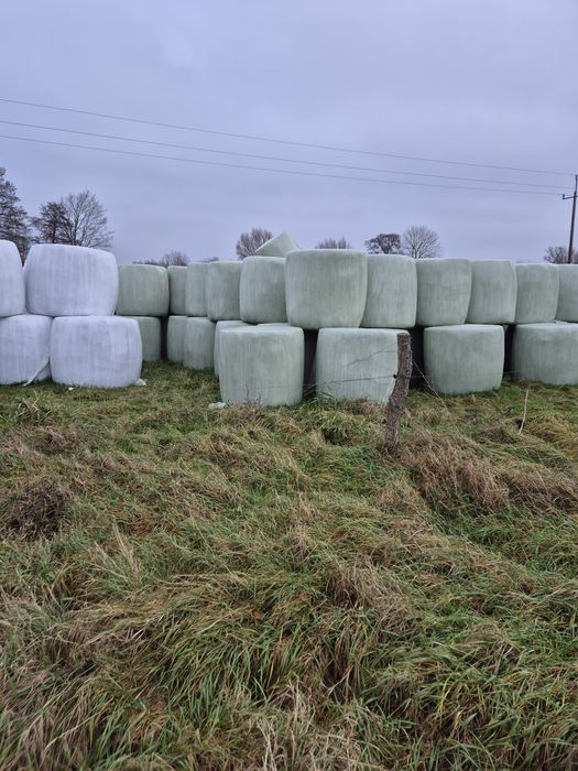 Sprzedam sianokiszonke