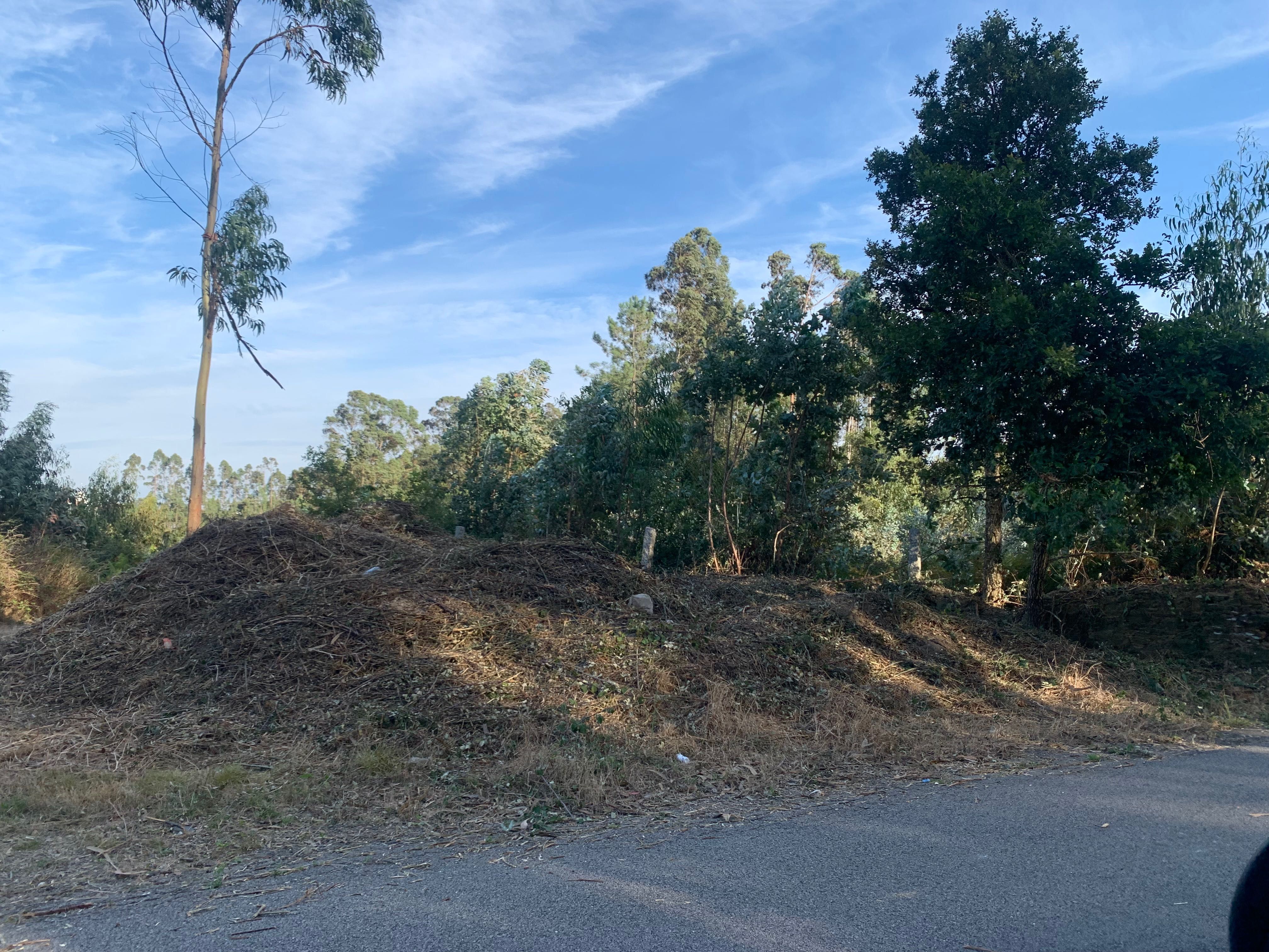 Terreno/pinhal para construção 3400m