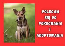 MENIA - marzy o nowym domu i rodzinie :)