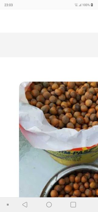 Orzechy laskowe 22 zl