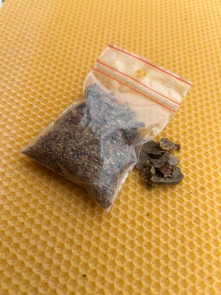 Kit pszczeli propolis