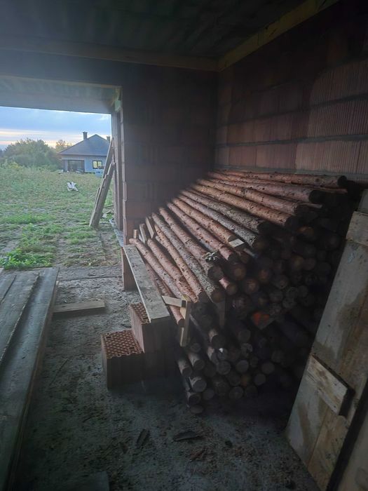 Stemple drewniane zacięte na 285 cm 350 sztuk