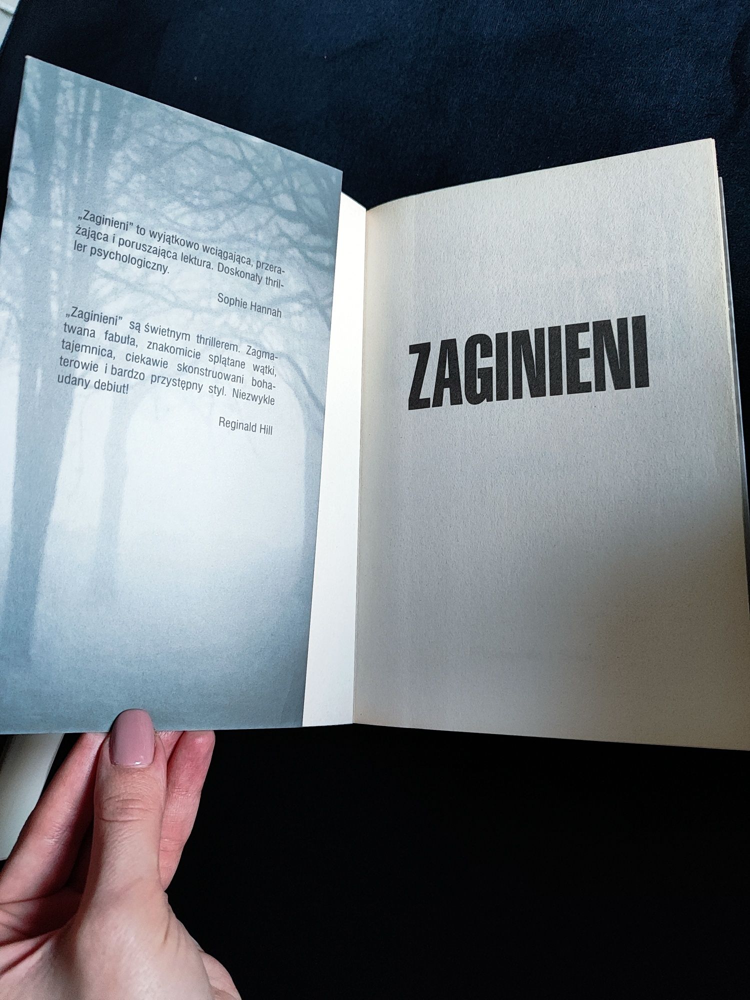 Książka "ZAGINIENI" Jane Casey