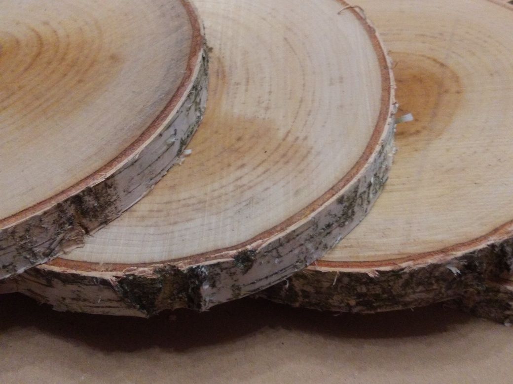 Plastry brzozowe krążki drewniane szlif ok 14 cm