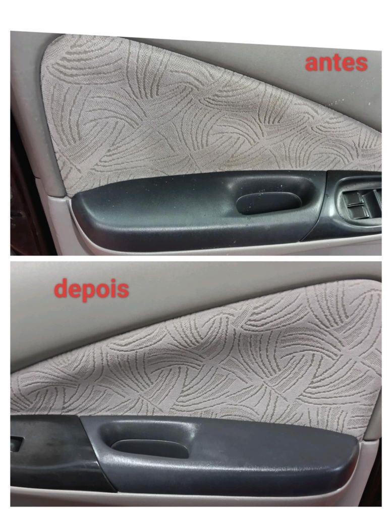 Lavagem manual Detalhada