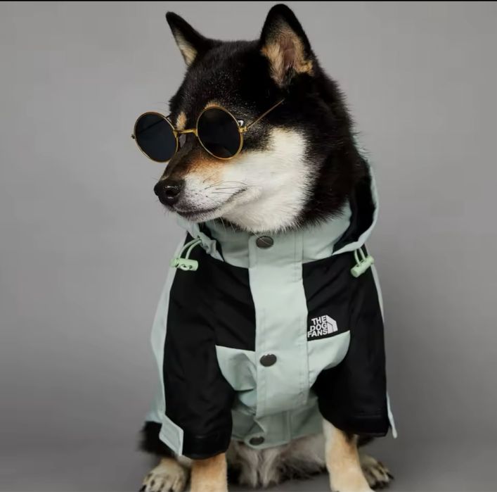 Дощовик для собаки куртка для собаки дождевик the dog face fans